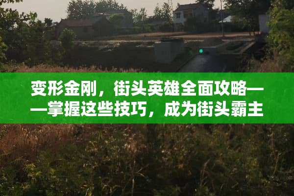 变形金刚，街头英雄全面攻略——掌握这些技巧，成为街头霸主 变形金刚街头游戏攻略