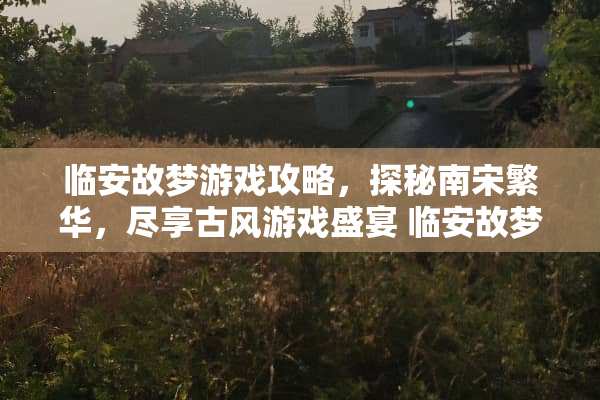 临安故梦游戏攻略，探秘南宋繁华，尽享古风游戏盛宴 临安故梦游戏攻略