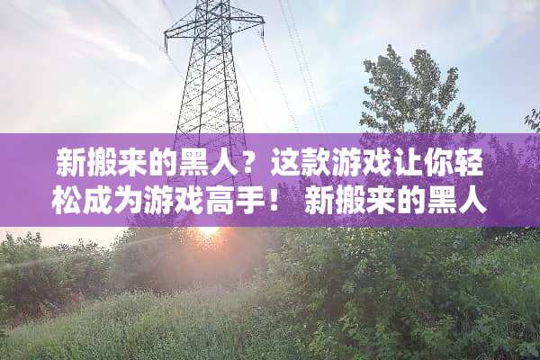 新搬来的黑人？这款游戏让你轻松成为游戏高手！ 新搬来的黑人游戏攻略