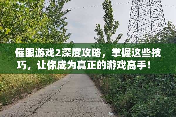 催眼游戏2深度攻略，掌握这些技巧，让你成为真正的游戏高手！ 催眼游戏2攻略
