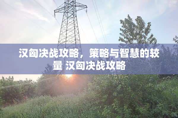 汉匈决战攻略，策略与智慧的较量 汉匈决战攻略