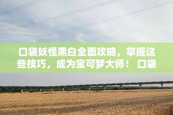 口袋妖怪黑白全面攻略，掌握这些技巧，成为宝可梦大师！ 口袋妖怪黑白攻略