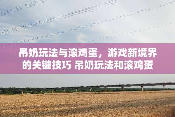 吊奶玩法与滚鸡蛋，游戏新境界的关键技巧 吊奶玩法和滚鸡蛋