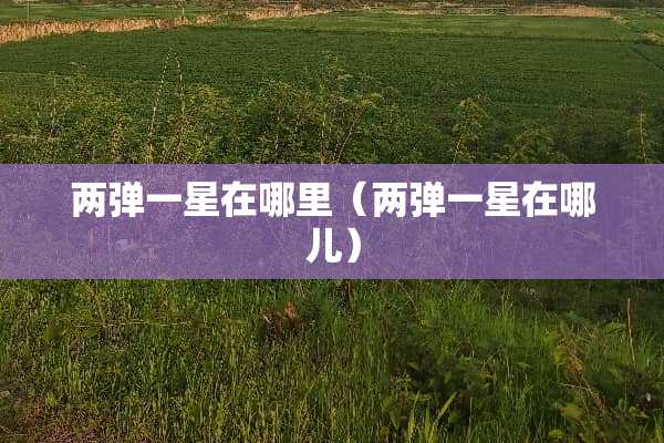 两弹一星在哪里（两弹一星在哪儿）