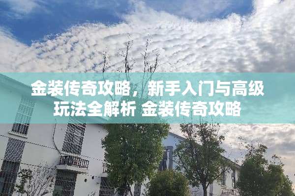 金装传奇攻略，新手入门与高级玩法全解析 金装传奇攻略