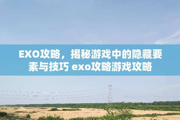 EXO攻略，揭秘游戏中的隐藏要素与技巧 exo攻略游戏攻略