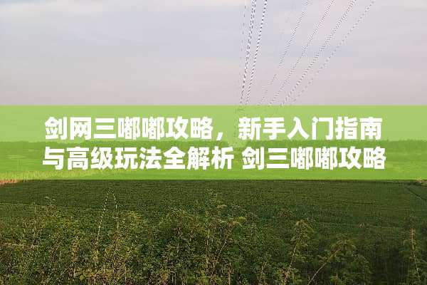 剑网三嘟嘟攻略，新手入门指南与高级玩法全解析 剑三嘟嘟攻略