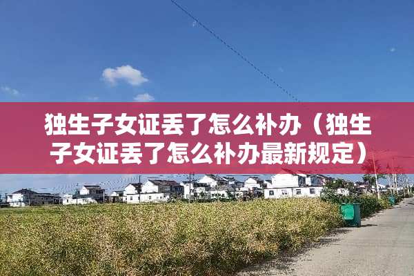 独生子女证丢了怎么补办（独生子女证丢了怎么补办最新规定）