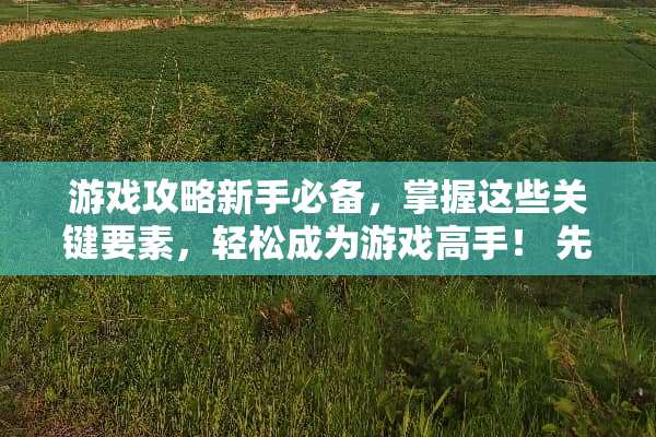 游戏攻略新手必备，掌握这些关键要素，轻松成为游戏高手！ 先玩游戏攻略