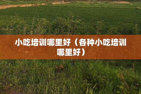 小吃培训哪里好（各种小吃培训哪里好）