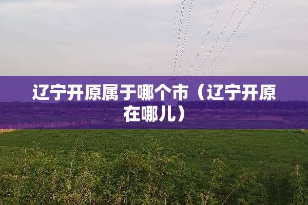 辽宁开原属于哪个市（辽宁开原在哪儿）