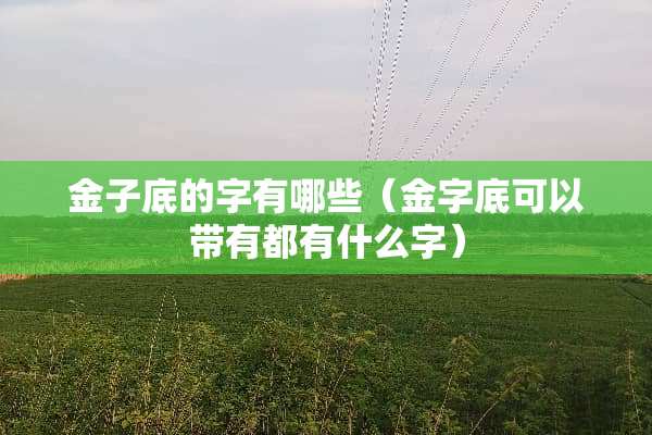 金子底的字有哪些（金字底可以带有都有什么字）