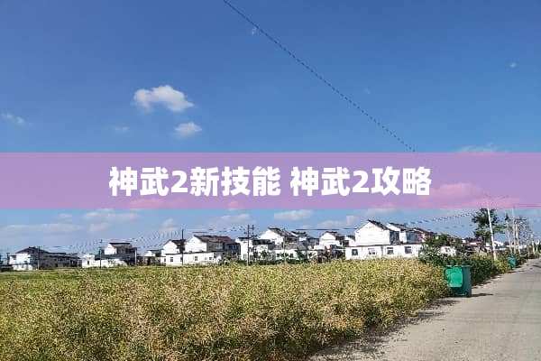 神武2新技能 神武2攻略