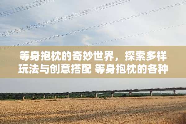 等身抱枕的奇妙世界，探索多样玩法与创意搭配 等身抱枕的各种玩法