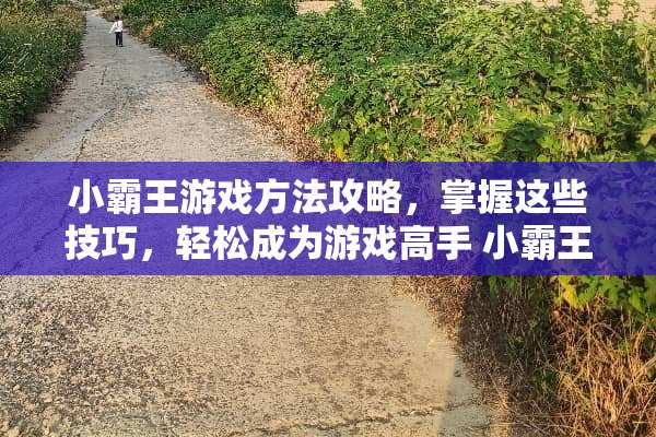 小**游戏方法攻略，掌握这些技巧，轻松成为游戏高手 小**游戏方法攻略