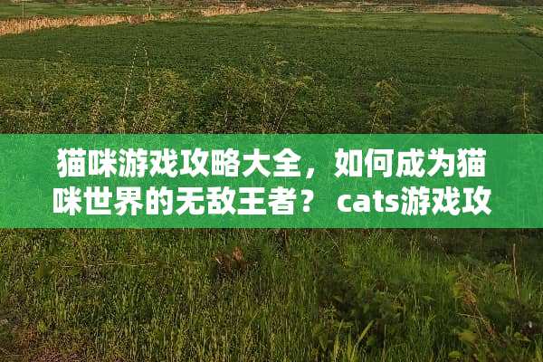 猫咪游戏攻略大全，如何成为猫咪世界的无敌王者？ cats游戏攻略大全