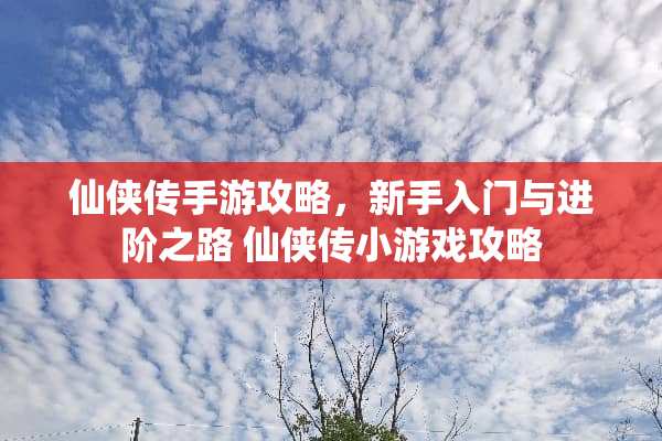 仙侠传手游攻略，新手入门与进阶之路 仙侠传小游戏攻略