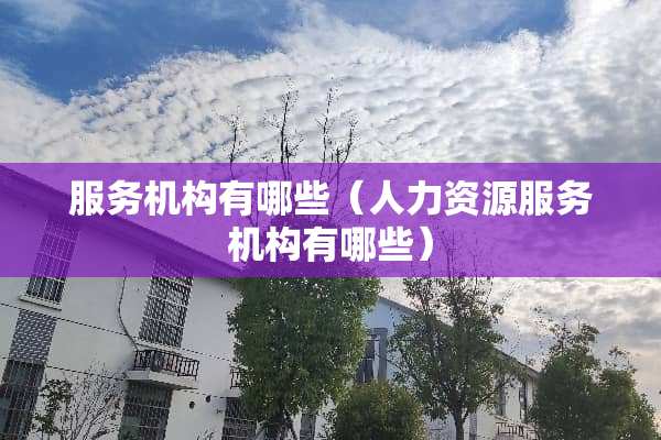 服务机构有哪些（人力资源服务机构有哪些）