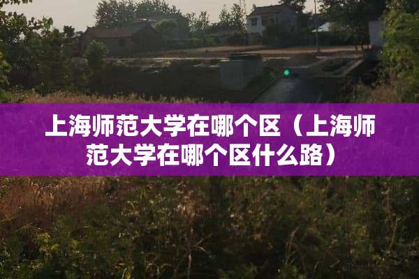 上海师范大学在哪个区（上海师范大学在哪个区什么路）