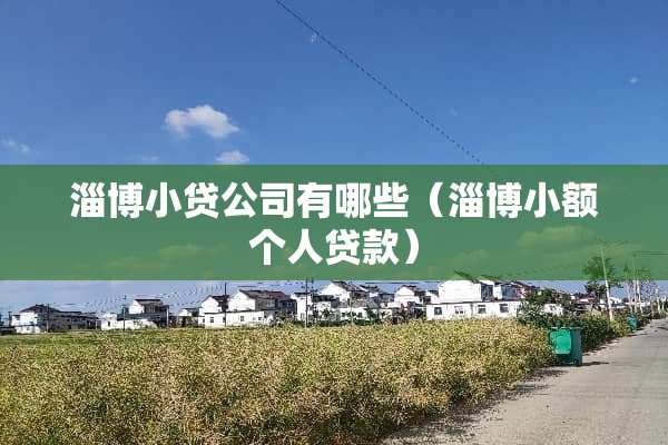 淄博小贷公司有哪些（淄博小额个人贷款）
