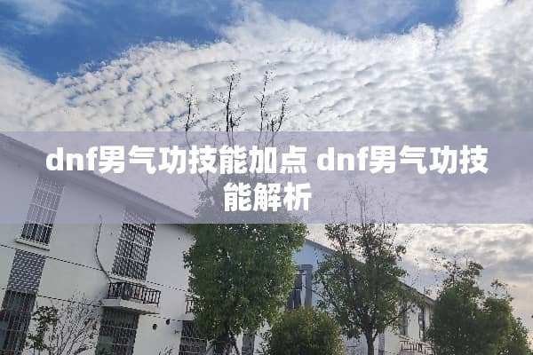 dnf男气功技能加点 dnf男气功技能解析