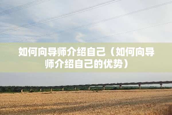 如何向导师介绍自己（如何向导师介绍自己的优势）