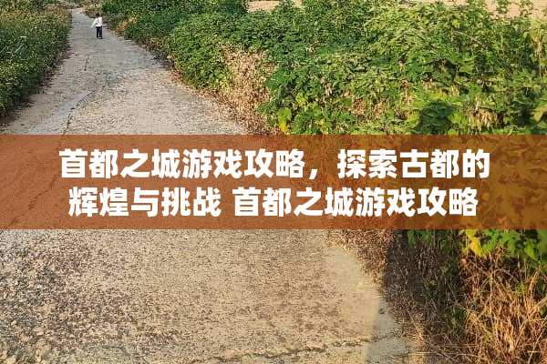 首都之城游戏攻略，探索古都的辉煌与挑战 首都之城游戏攻略