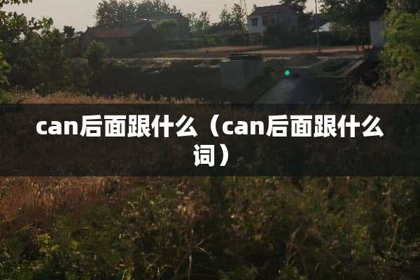 can后面跟什么（can后面跟什么词）