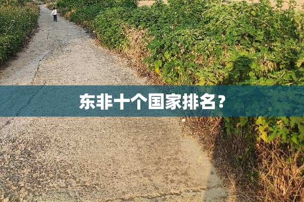 东非十个国家排名？