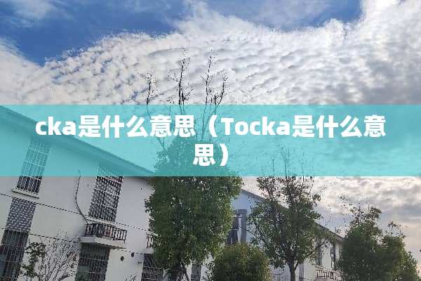 cka是什么意思（Tocka是什么意思）