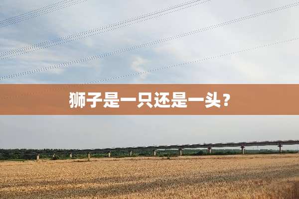 狮子是一只还是一头？