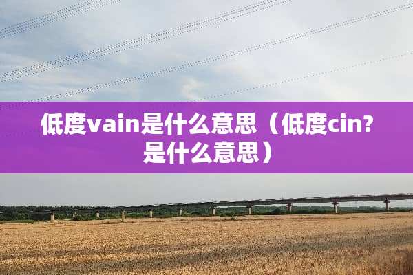 低度vain是什么意思（低度cin?是什么意思）