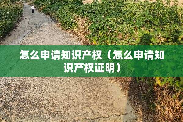 怎么申请知识产权（怎么申请知识产权证明）