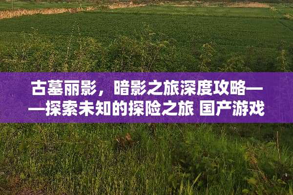 古墓丽影，暗影之旅深度攻略——探索未知的探险之旅 国产游戏古墓丽影攻略