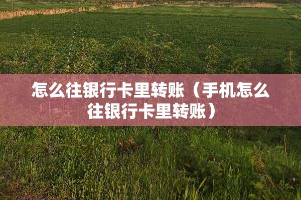 怎么往***里转账（手机怎么往***里转账）