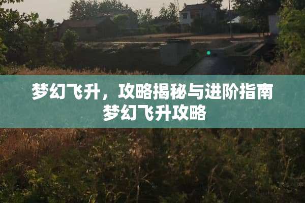梦幻飞升，攻略揭秘与进阶指南 梦幻飞升攻略