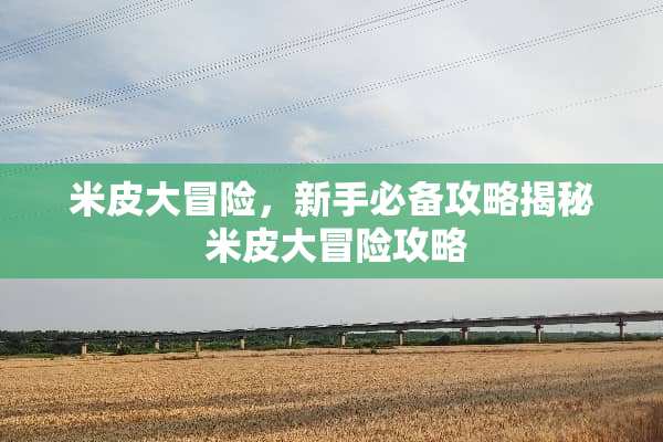 米皮大冒险，新手必备攻略揭秘 米皮大冒险攻略