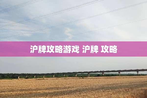 沪牌攻略游戏 沪牌 攻略