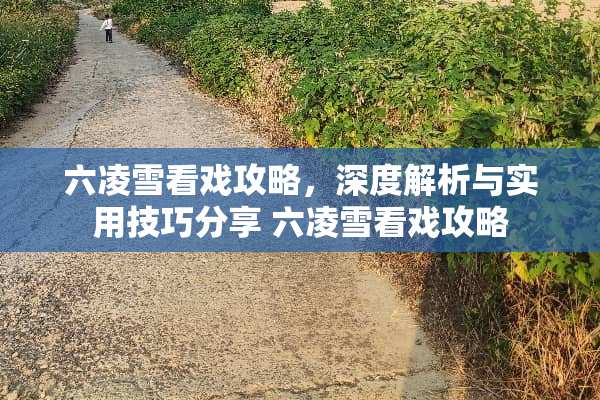 六凌雪看戏攻略，深度解析与实用技巧分享 六凌雪看戏攻略