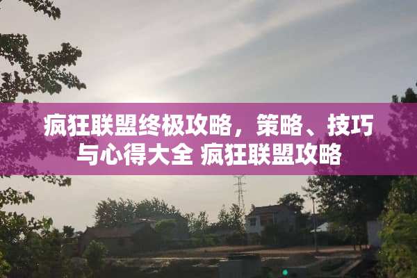 疯狂联盟终极攻略，策略、技巧与心得大全 疯狂联盟攻略