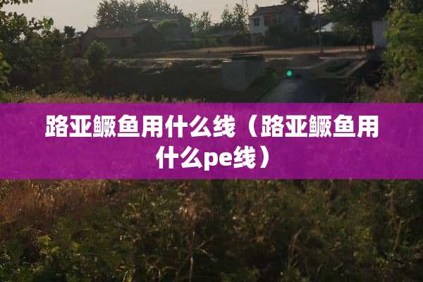 路亚鳜鱼用什么线（路亚鳜鱼用什么pe线）