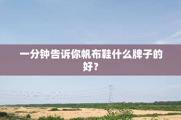 一分钟告诉你帆布鞋什么牌子的好？