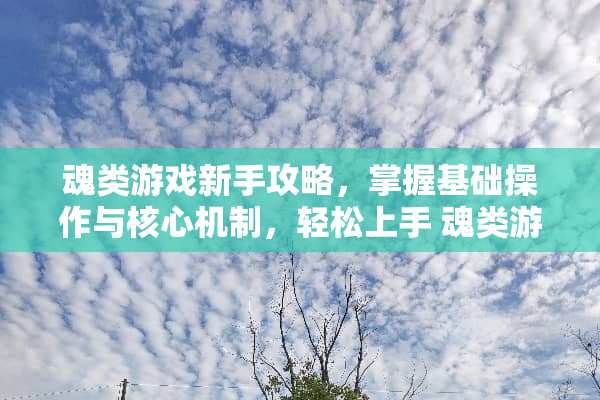 魂类游戏新手攻略，掌握基础操作与核心机制，轻松上手 魂类游戏新手攻略