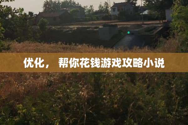 优化， 帮你花钱游戏攻略小说