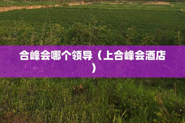 合峰会哪个领导（上合峰会酒店）