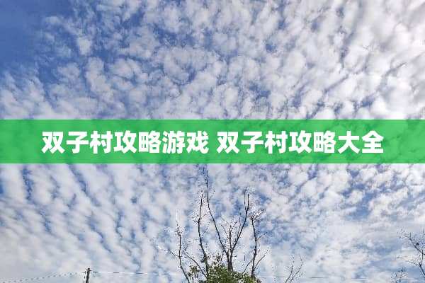 双子村攻略游戏 双子村攻略大全