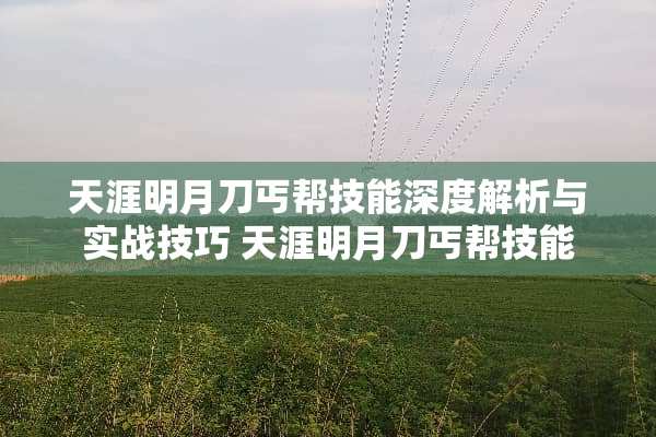 天涯明月刀丐帮技能深度解析与实战技巧 天涯明月刀丐帮技能