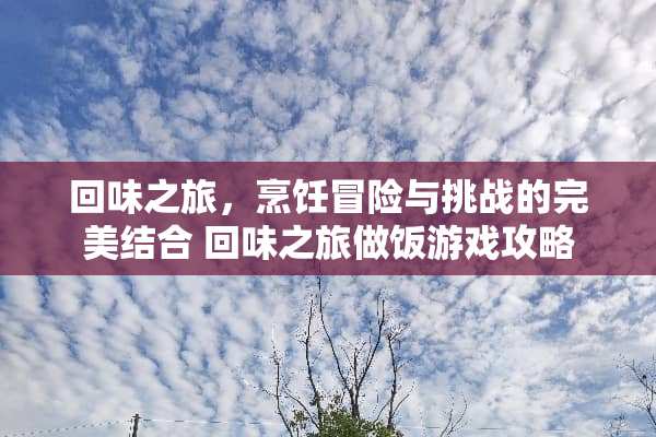 回味之旅，烹饪冒险与挑战的完美结合 回味之旅做饭游戏攻略