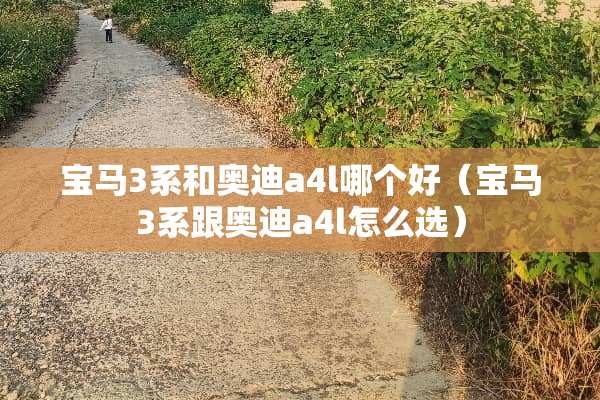 宝马3系和奥迪a4l哪个好（宝马3系跟奥迪a4l怎么选）
