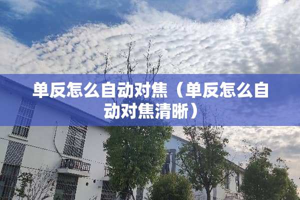 单反怎么自动对焦（单反怎么自动对焦清晰）